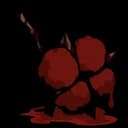 붉게 물든 목화